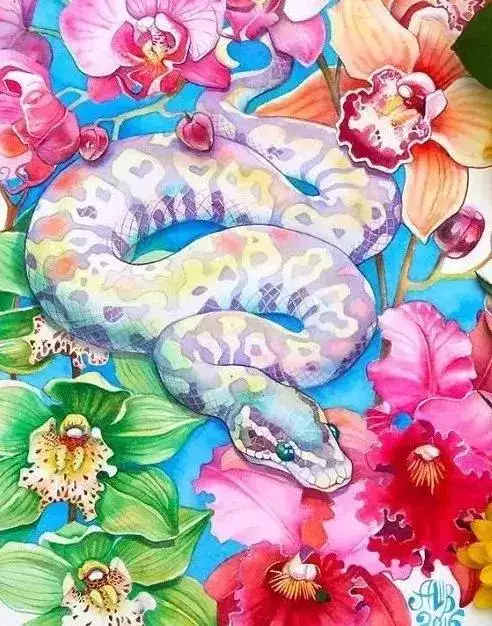 十二生肖的運勢和婚姻，十二生肖今年的婚姻如何