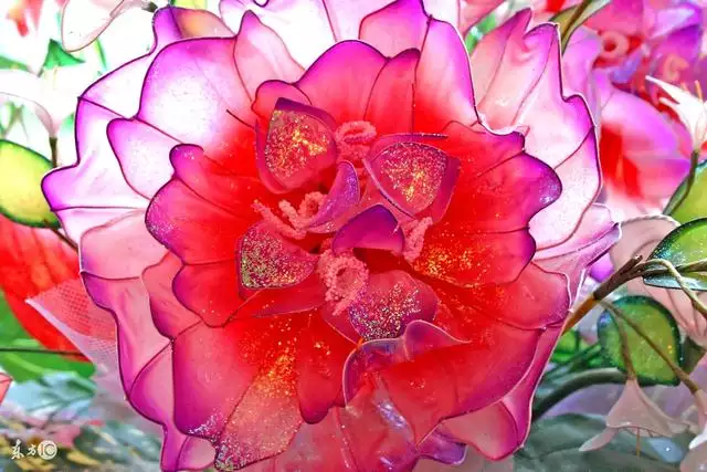 虎年生子跟哪個屬相相衝,虎爸和虎女兒會相剋嗎