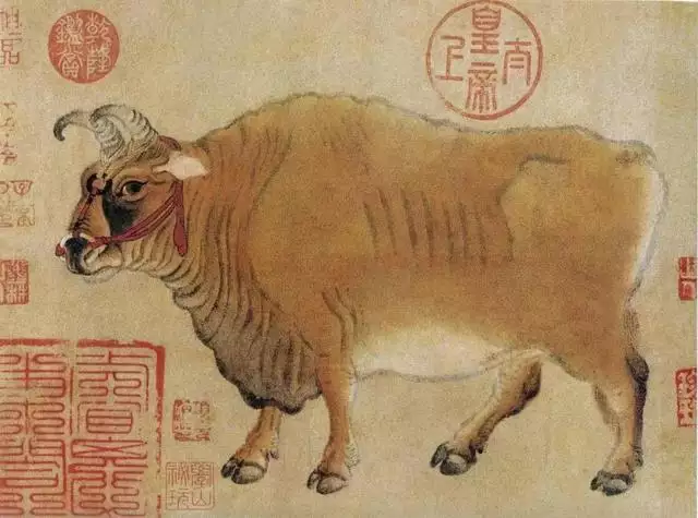 022年是60年一遇的虎宝宝，为什么家里要有大属相"
