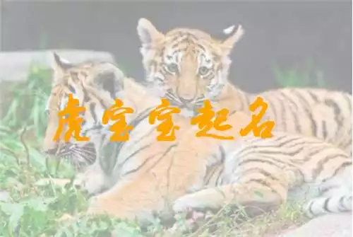 2、虎寶寶取名字**字:年虎寶寶取名字**字