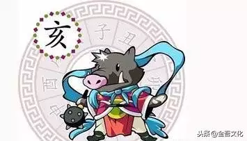 屬豬的今年的財運，豬年生人2022 每月運程