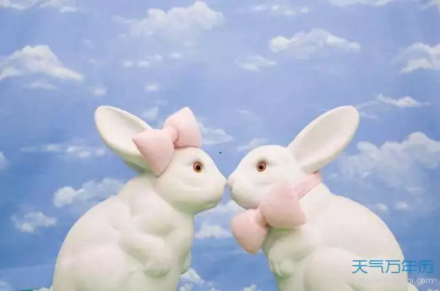 属兔跟属兔的相配吗，男兔女兔在一起合适吗