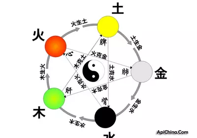 猫的五行属什么