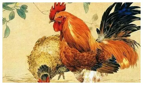 2、今年属鸡运势:年属鸡年运势及运程