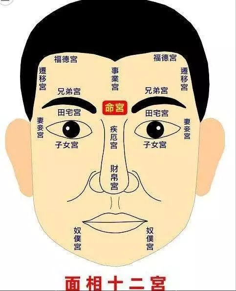 额头有八字纹分析:男人有抬头纹好吗