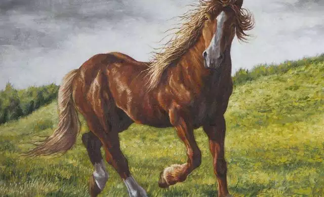 978年的馬45歲后的財運，1978年屬馬二次婚姻在幾歲"