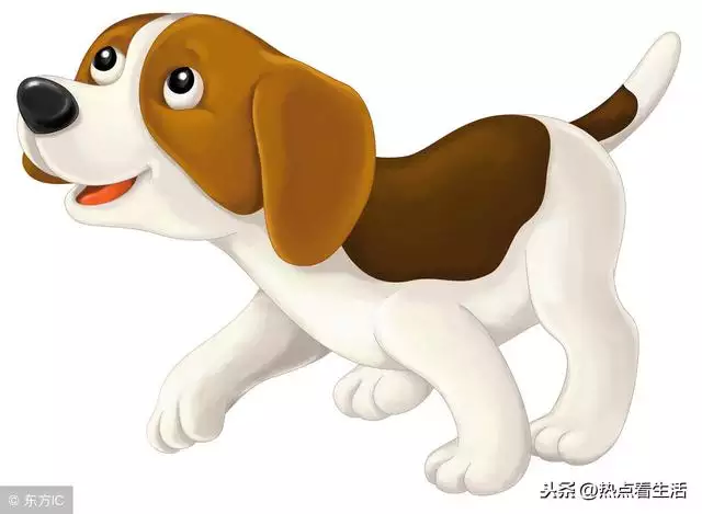 022馬幾點出生更好命，2022年什麼時辰出生更好"