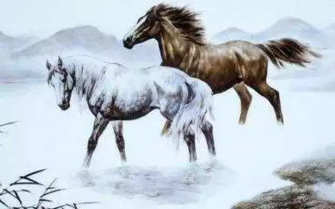 屬馬與屬羊相處怎麼樣,屬羊生什麼屬相的孩子更好