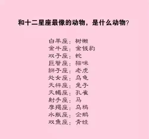 2、射手座女生蛇年的运势:属蛇射手座女生性格分析