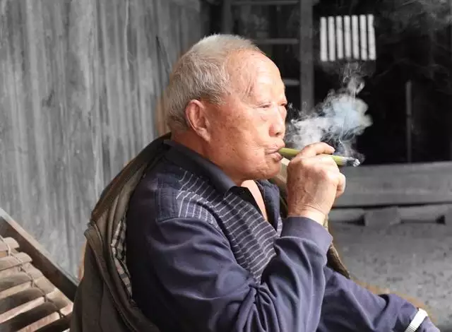 022年屬狗的年齡是多少，2022年屬狗"