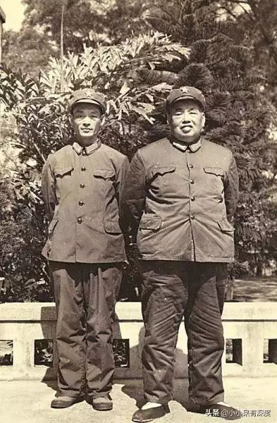屬蛇人一輩子的婚姻，屬蛇的幾月女人命好