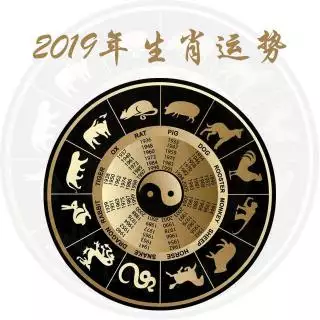 2008年屬相鼠運勢及運程：2008年的生肖鼠的運勢若何?