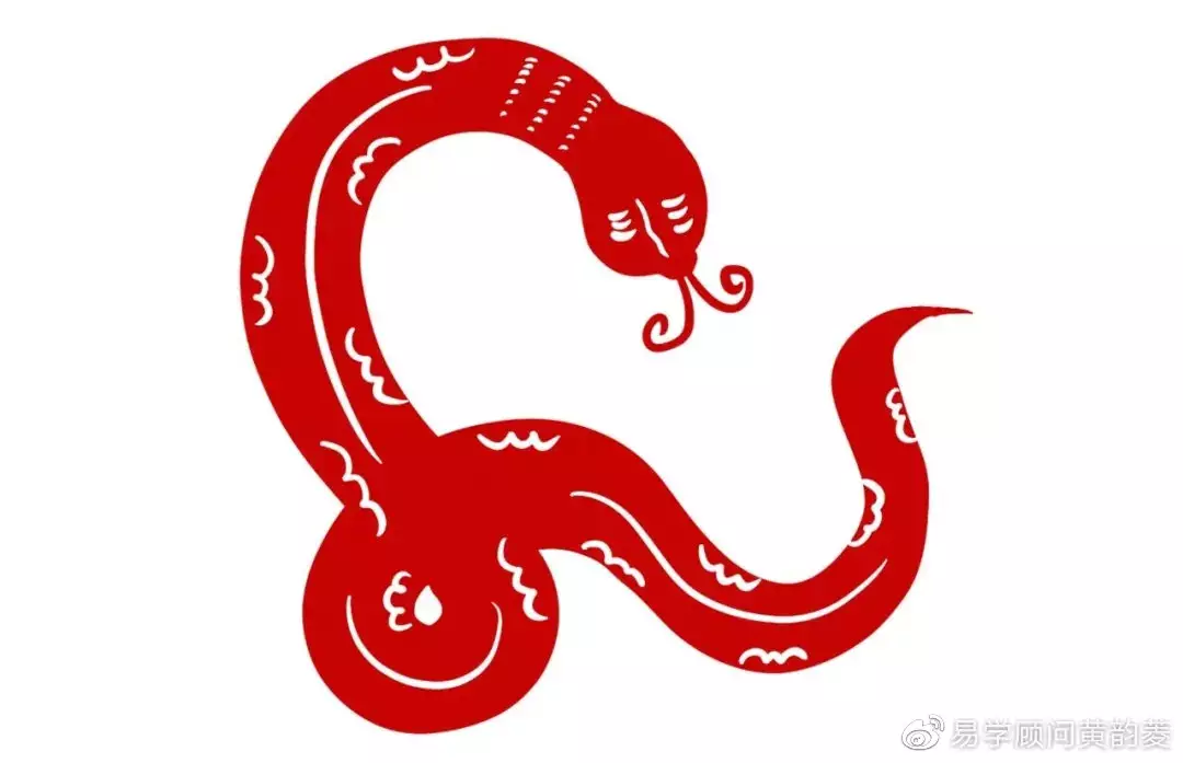 5、屬蛇的運勢年:屬蛇人運氣