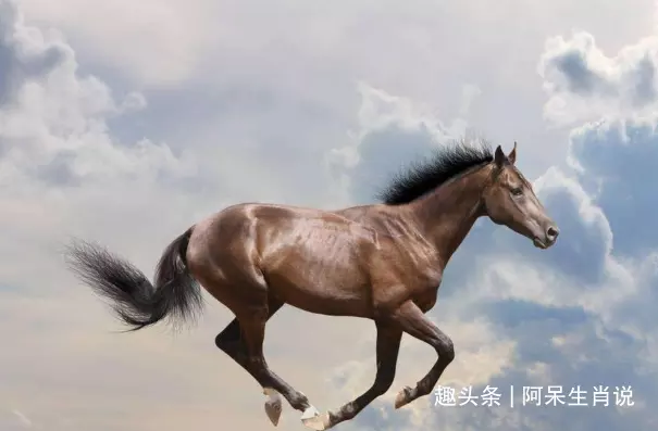 54歲羊與43歲馬屬相合不合：馬和羊的屬相不和嗎