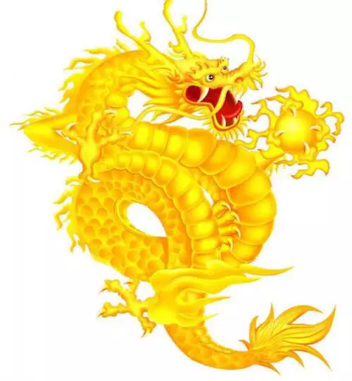 1、屬龍的年齡表年多大:屬大龍的年多少歲了