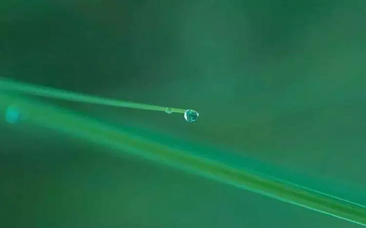 年是什麼水命：年出生的人不是水命嗎，怎麼是木命呢