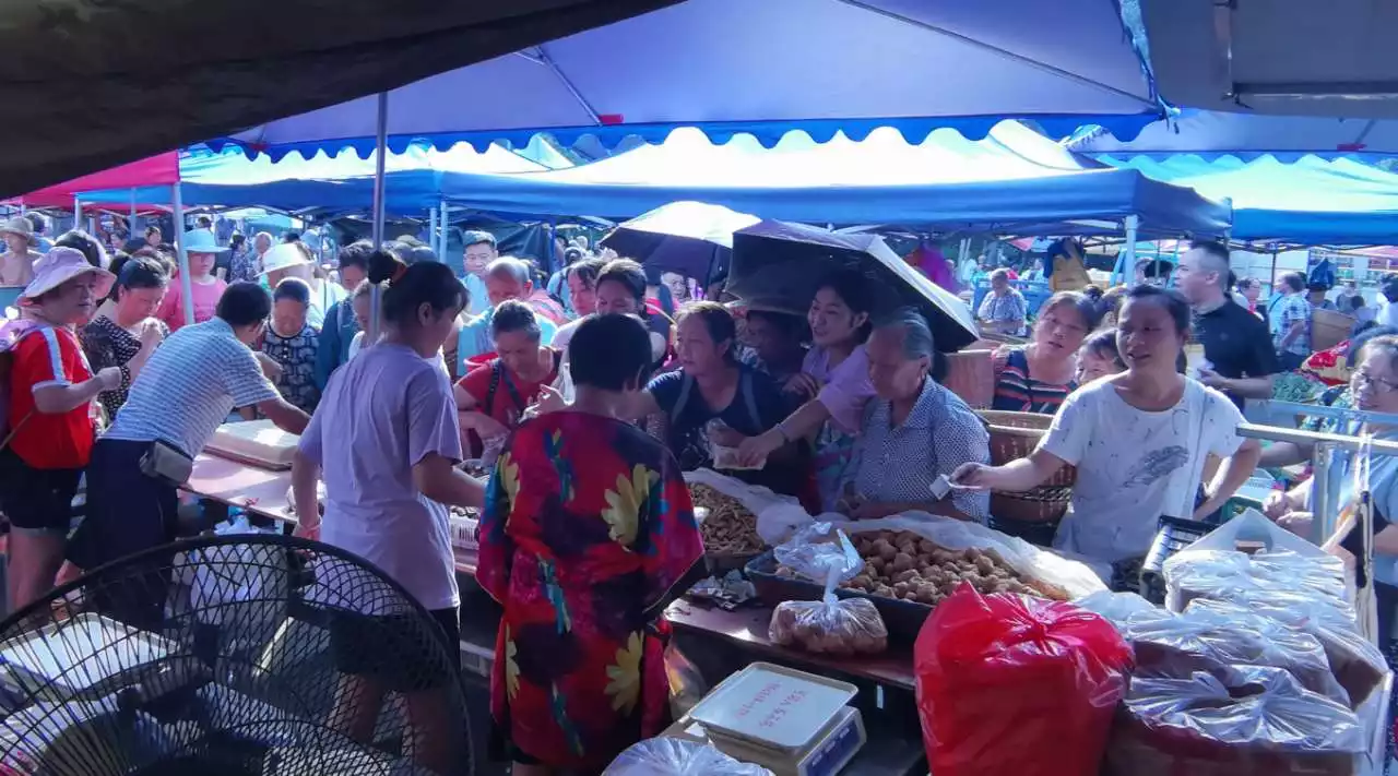 不慌不忙姍姍來遲是什麼屬相：十二生肖中三打白骨精指什麼動物