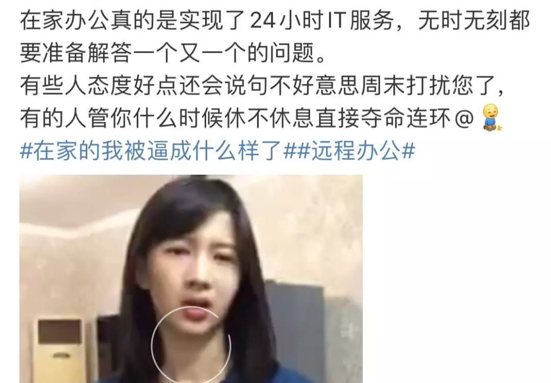 衣食無憂多貪睡的屬相：衣食無憂多貪睡，鑽洞偷倉三更窮。是十二生肖的哪一動物？