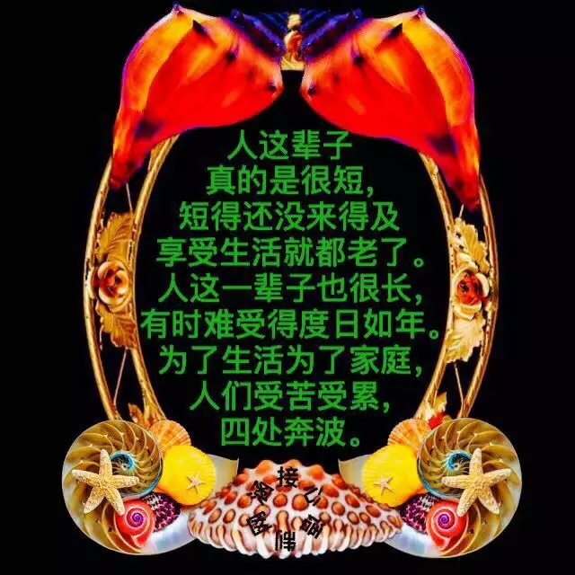 人的命啊天註定啊是什麼歌：人的命天註定嗎