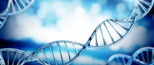 5、由於近親娶親的配偶，容易使對生計晦氣的隱性有害基因在後裔中相遇，這什麼意思啊？是近親那兩小我私人都有