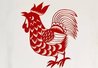 3、雞和雞婚配屬於自刑是什麼意思:屬雞和屬雞能婚配嗎