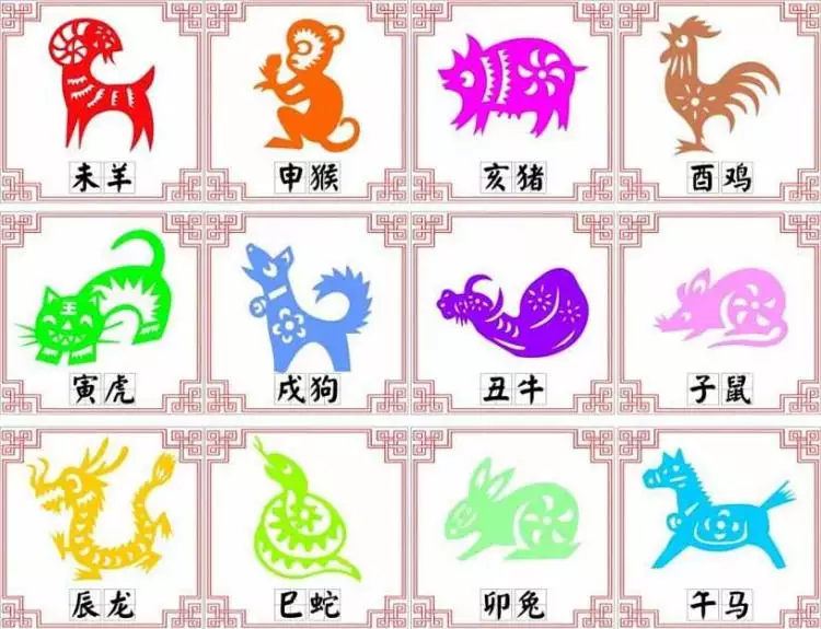 十二生肖和哪些動物屬相相衝：十二生肖那個動物是（相生相剋）？
