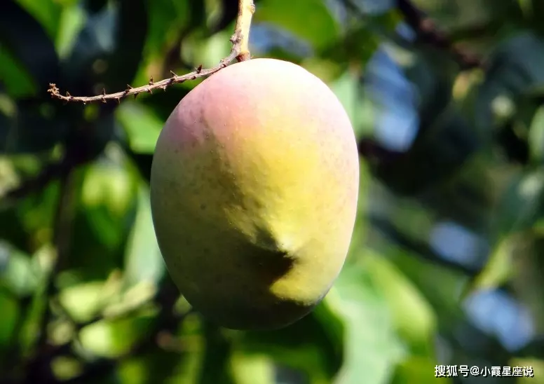 和男友因為屬相分手怎麼挽回：男友跟我分手后 我該怎麼去挽回呢