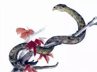 1、屬蛇註定的緣分是誰:屬蛇人命中註定的另一半