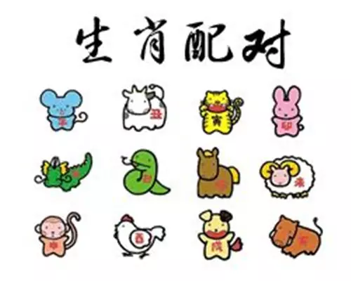 1、屬羊跟屬羊的婚配怎麼樣:屬羊與屬羊婚配怎樣