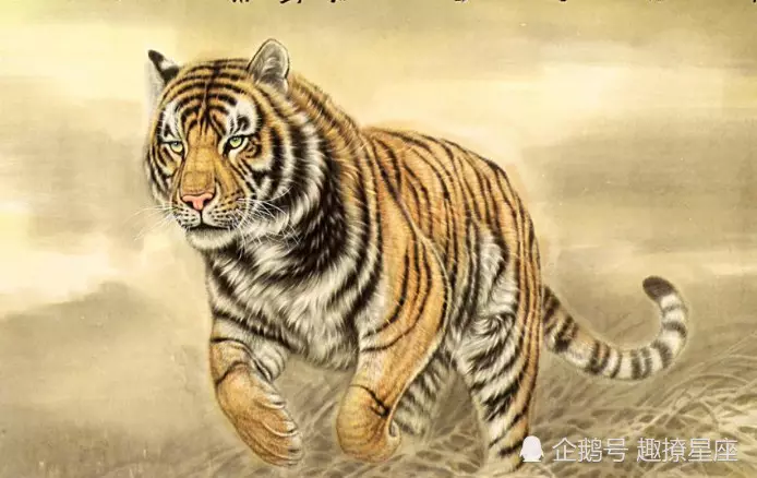 2、屬虎的最忌婚配屬相屬龍:叨教屬虎和屬龍的能婚配嗎?