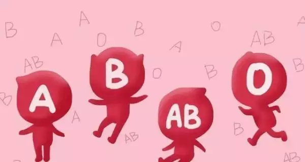 4、ab型男和o型女的婚配孩子血型:AB型血和O型血的伉儷生的孩子是什麼血型