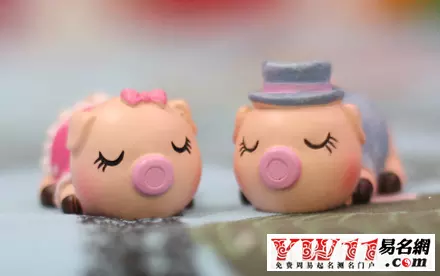 1、屬豬的屬相婚配表:屬豬的屬相婚配表