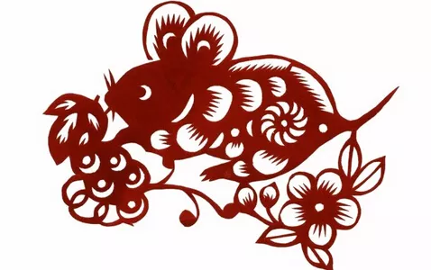 屬鼠女和屬兔男的婚姻如何：女鼠大男兔三歲相配嗎