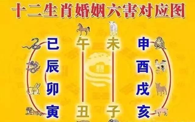 4、同出生的屬相能婚配嗎:十二生肖婚配:屬相合婚配對錶