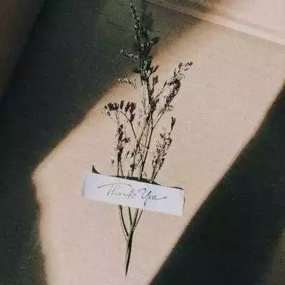 微信頭像有什麼圖片的女人，一看就是好女人？