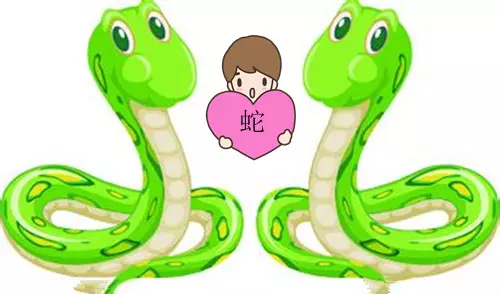 屬蛇人養什麼屬相最好：生肖屬蛇的人，適合養什麼寵物
