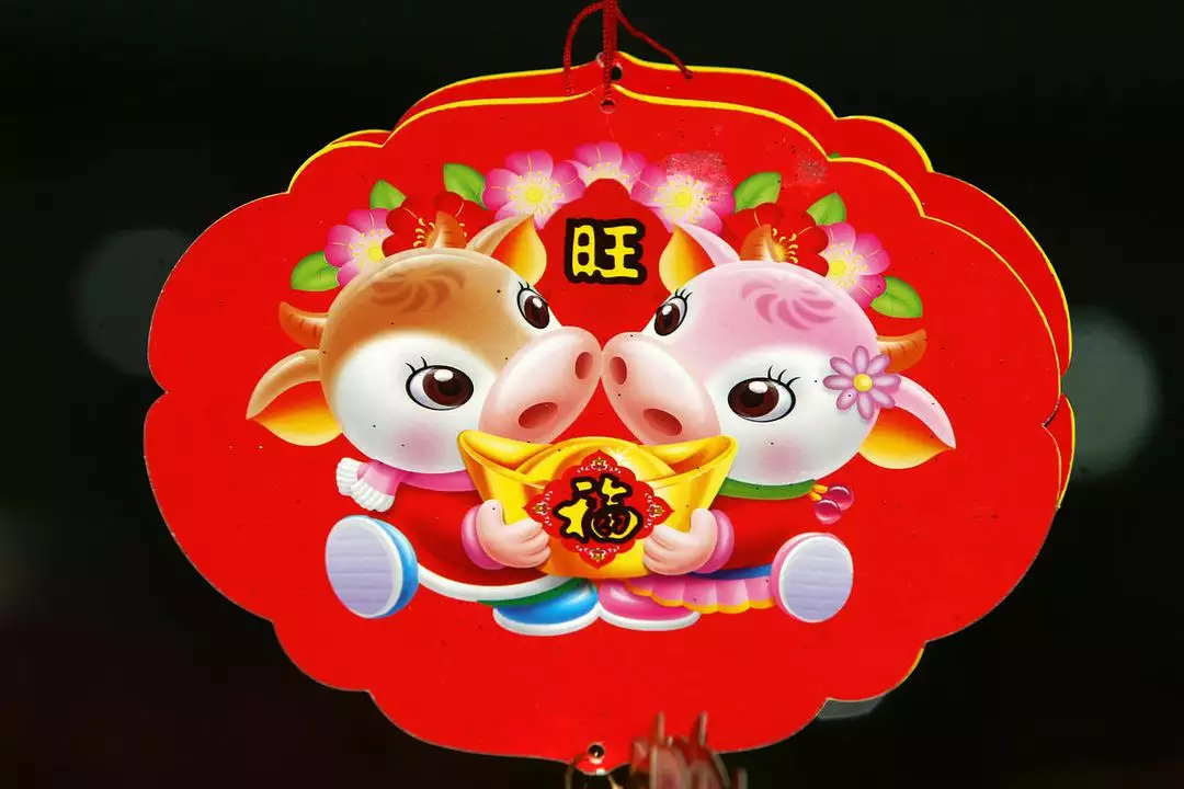 起棺迴避屬相是什麼意思：進棺規避屬相什麼意思