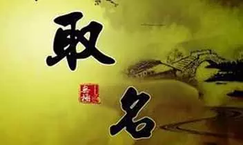 起名網免費取名打分分：Logo起名打分分的名字