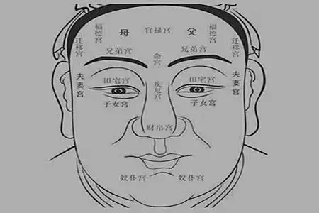 4、婚姻宮怎麼看:怎麼查自己的婚姻宮