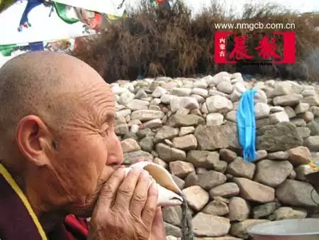 龍爸爸和雞媽媽生什麼屬相好：屬豬的媽媽和屬雞的爸爸生什麼屬相的寶寶好