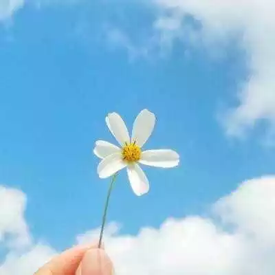 女士微信名稱大全好運：帶來好運的微信名字女兩個字