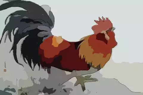 2、年屬年運勢及運程每月運程