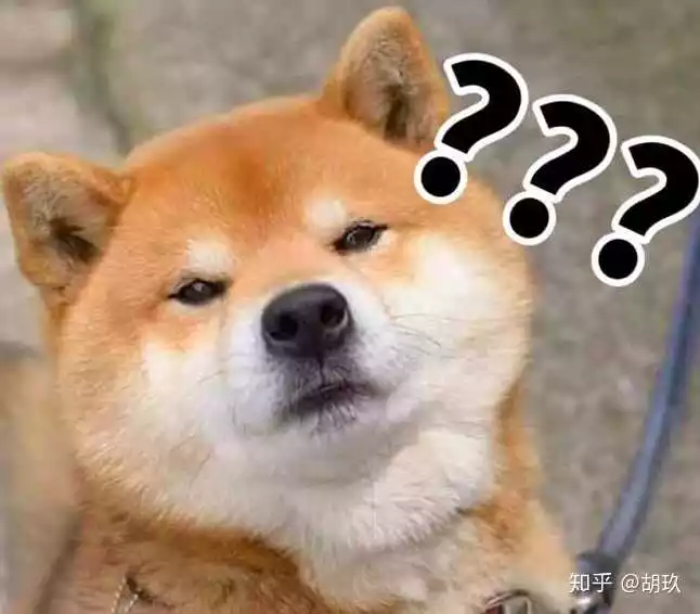 女狗和男蛇的屬相合不合財：生肖蛇男和狗女配嗎