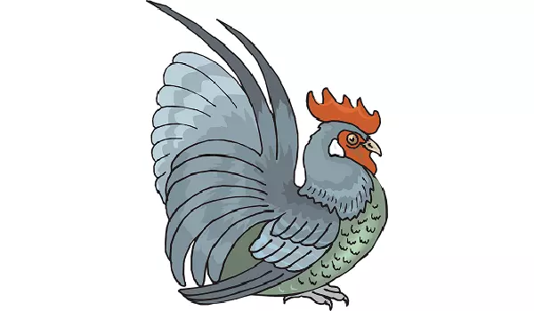 屬雞的和什麼屬相合：男屬雞的和什麼屬相最配？