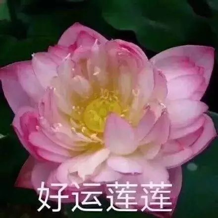 好運氣的網名兩個字的：帶來運氣最好的網名