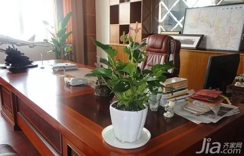 4、辦公室擺什麼綠植比較好:十種的辦公綠植，您辦公室擺了嗎