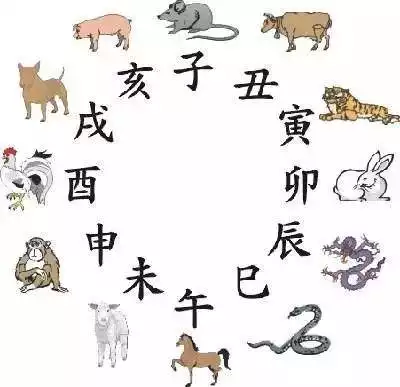 十二生肖屬相婚配相合：屬相婚配相合相衝相剋表