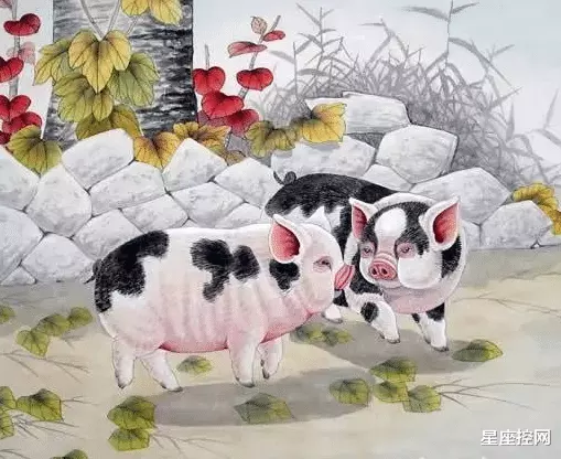 屬豬的死人時和什麼屬相相剋：屬鼠的和什麼屬相相剋
