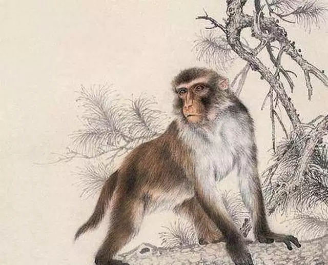 1、肖猴人出生月份及婚配:屬猴的幾月出生-生肖猴什麼月份出生好