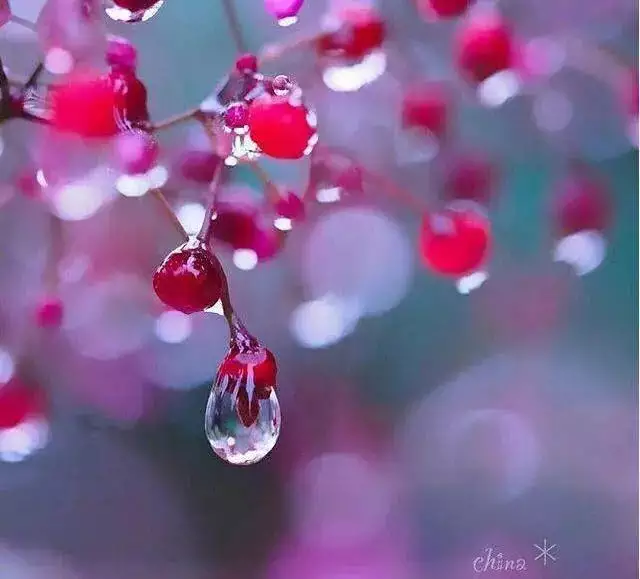 1、測今年的桃花運:測試桃花運